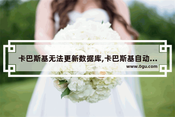 卡巴斯基无法更新数据库,卡巴斯基自动更新
