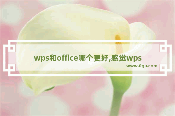 wps和office哪个更好,感觉wps比office好用