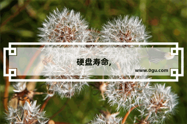 硬盘寿命,