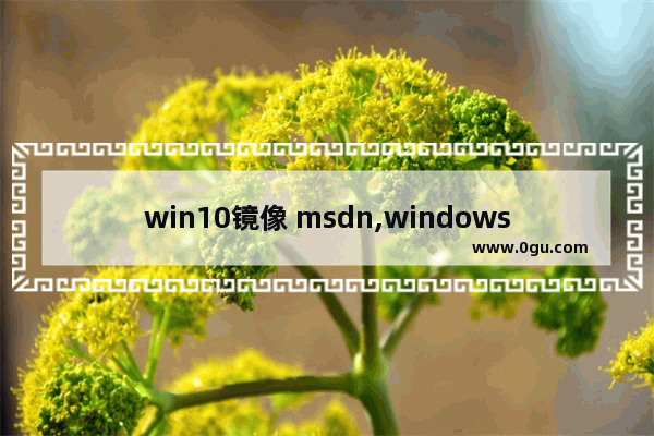win10镜像 msdn,windows10官方原版镜像