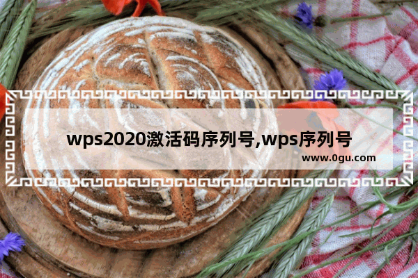 wps2020激活码序列号,wps序列号永久激活2019