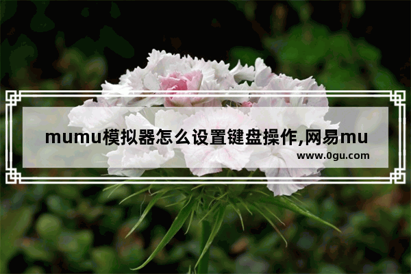 mumu模拟器怎么设置键盘操作,网易mumu按键录制