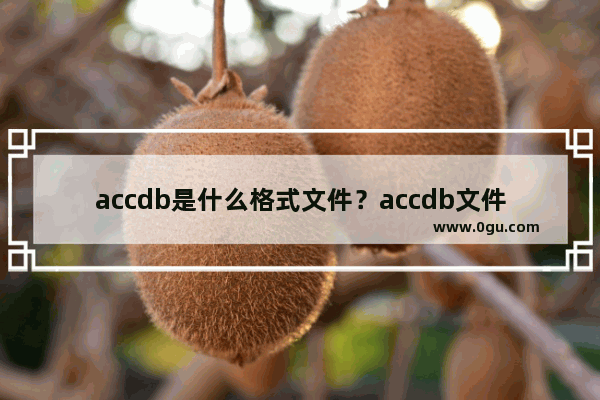 accdb是什么格式文件？accdb文件怎么打开？