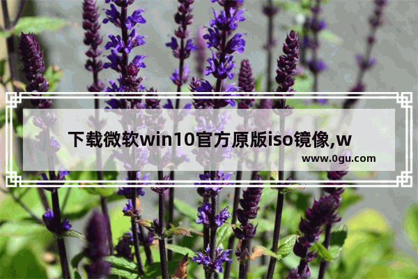 下载微软win10官方原版iso镜像,windows10原版iso镜像下载