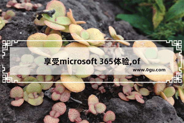 享受microsoft 365体验,office365新界面
