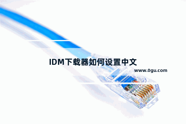 IDM下载器如何设置中文