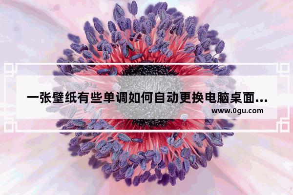 一张壁纸有些单调如何自动更换电脑桌面壁纸