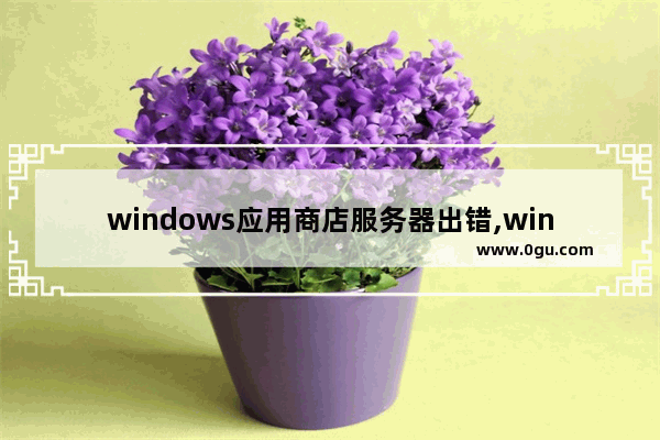 windows应用商店服务器出错,windows应用商店无法使用