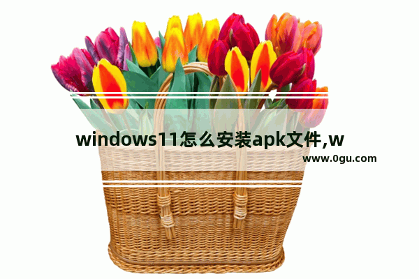 windows11怎么安装apk文件,win11怎么安装apk文件