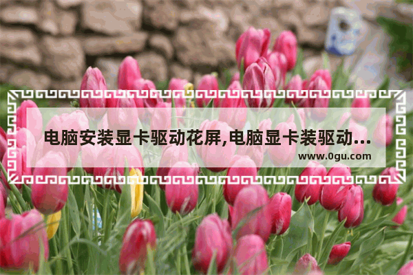 电脑安装显卡驱动花屏,电脑显卡装驱动就花屏