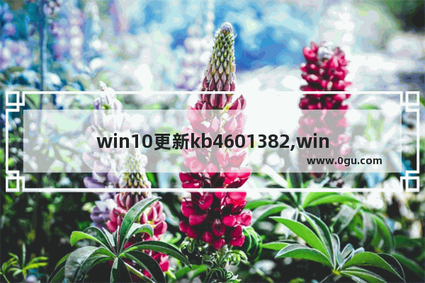 win10更新kb4601382,win10更新kb4592438 2