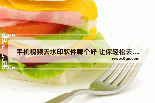 手机视频去水印软件哪个好 让你轻松去掉水印快点,手机去除视频水印什么软件最好