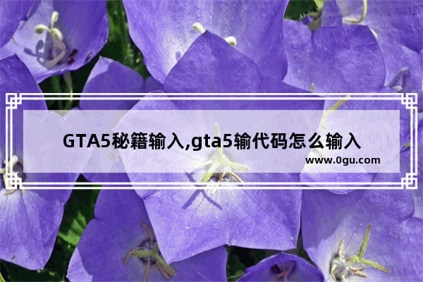 GTA5秘籍输入,gta5输代码怎么输入