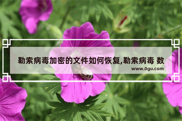勒索病毒加密的文件如何恢复,勒索病毒 数据恢复工具