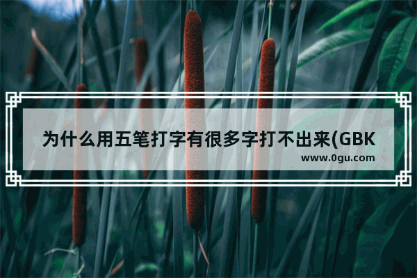 为什么用五笔打字有很多字打不出来(GBK和GB2312字库的区别)