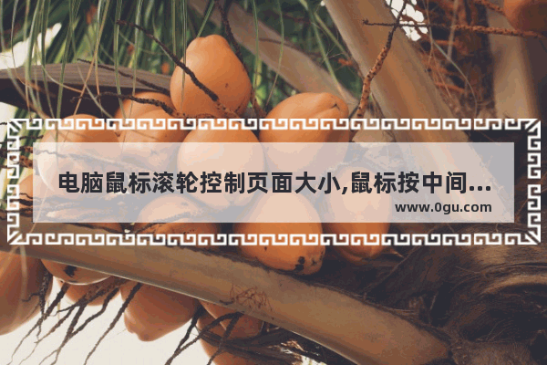 电脑鼠标滚轮控制页面大小,鼠标按中间的滚轮导致页面变大