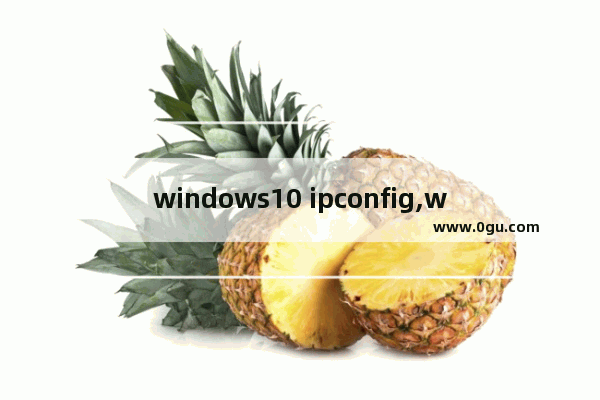 windows10 ipconfig,windows ipconfig命令