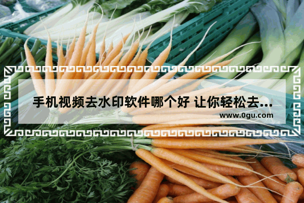 手机视频去水印软件哪个好 让你轻松去掉水印快点,手机去除视频水印什么软件最好