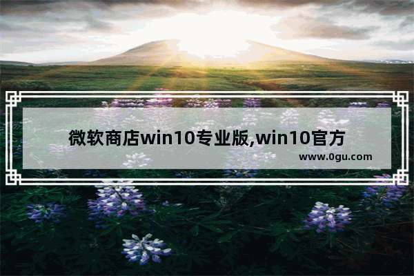 微软商店win10专业版,win10官方商店