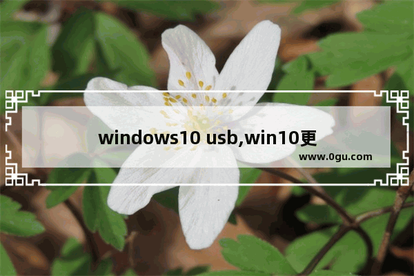 windows10 usb,win10更新后usb设备无法使用