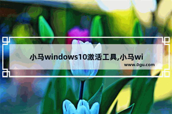 小马windows10激活工具,小马win10激活工具一键永久激活免费版