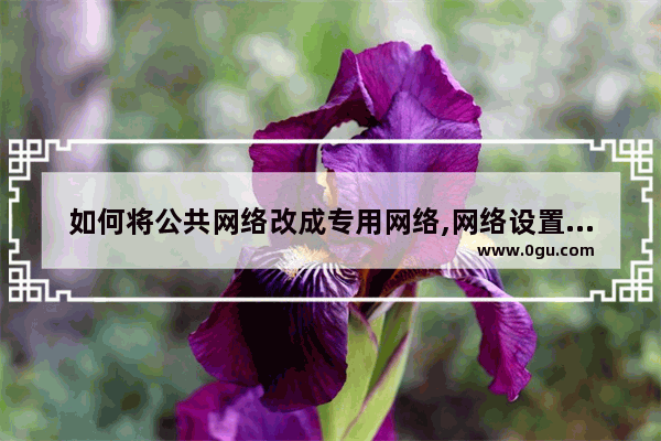 如何将公共网络改成专用网络,网络设置成公用网络还是专用网络