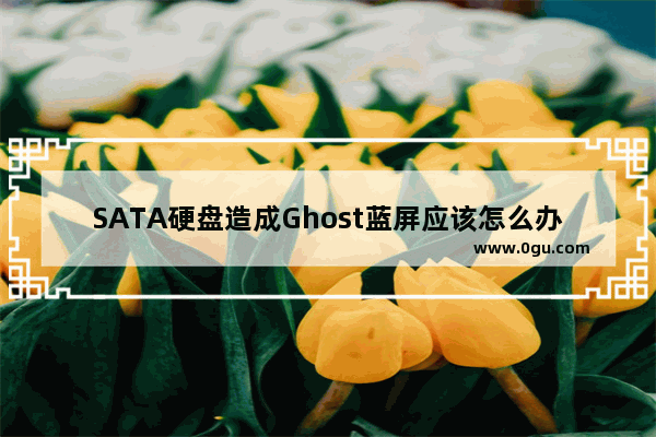 SATA硬盘造成Ghost蓝屏应该怎么办