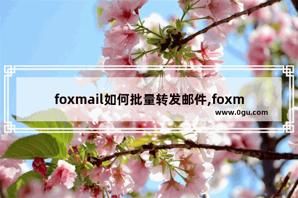 foxmail如何批量转发邮件,foxmail邮件怎么群发