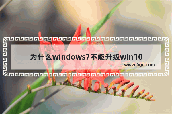 为什么windows7不能升级win10,win7升级win10win7还会在吗