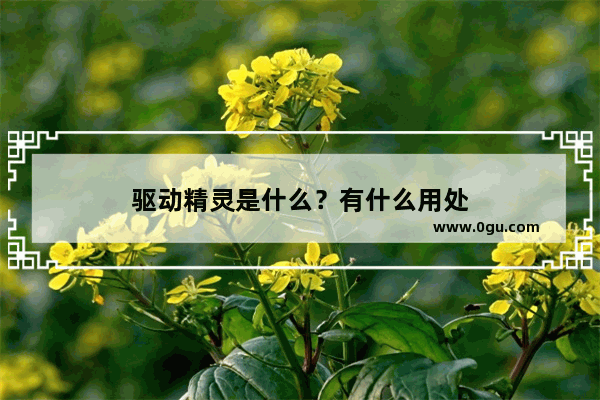 驱动精灵是什么？有什么用处