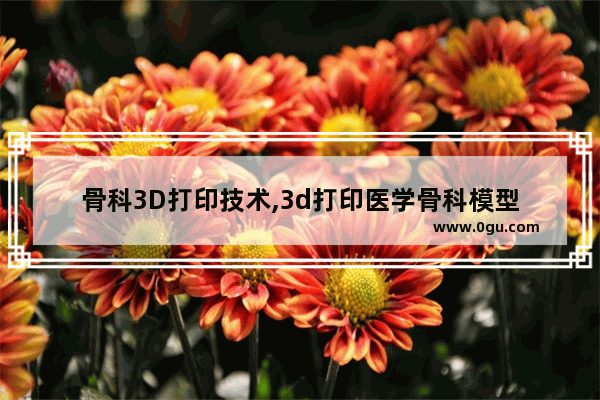 骨科3D打印技术,3d打印医学骨科模型