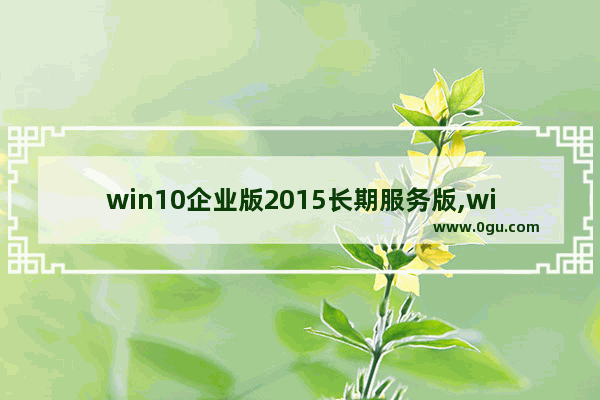 win10企业版2015长期服务版,windows 10企业版2016长期服务版