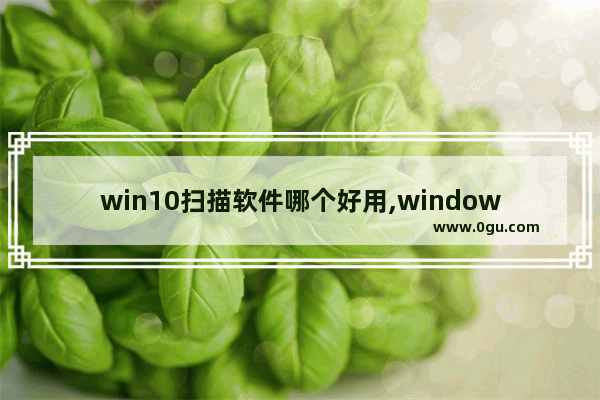 win10扫描软件哪个好用,windows10连接扫描仪