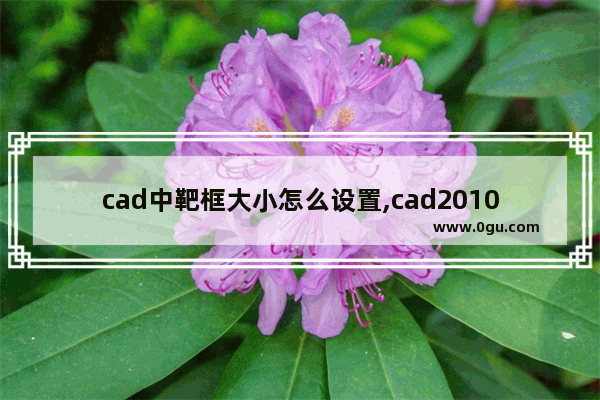 cad中靶框大小怎么设置,cad2010靶框大小不能调节