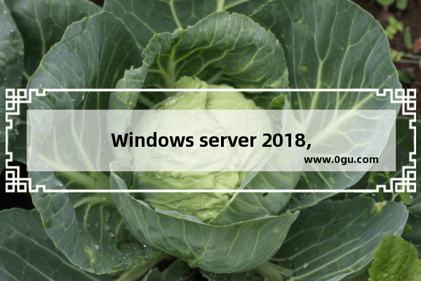 Windows server 2018,windows server2019版本区别