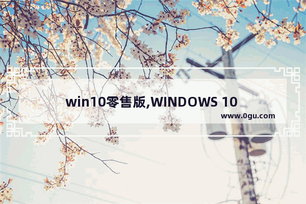 win10零售版,WINDOWS 10 pro