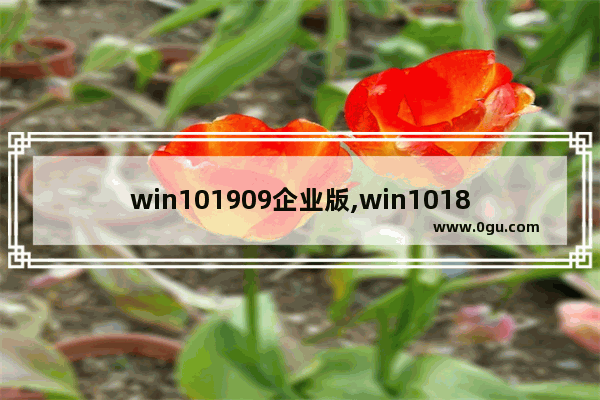 win101909企业版,win101809企业版