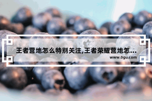 王者营地怎么特别关注,王者荣耀营地怎么关注认证作者