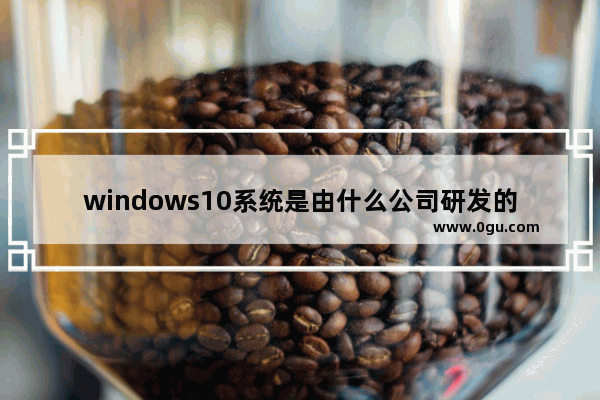 windows10系统是由什么公司研发的,做设计win10企业版还是专业版
