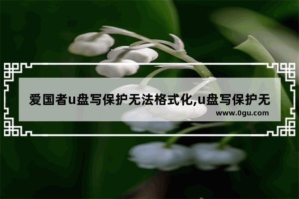 爱国者u盘写保护无法格式化,u盘写保护无法格式化怎么办win10