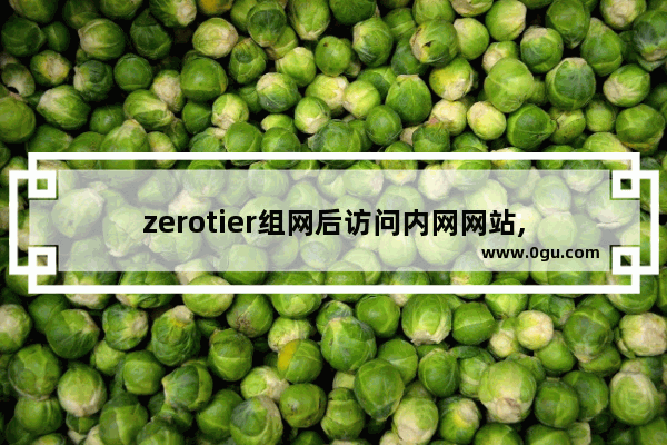 zerotier组网后访问内网网站,