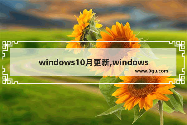 windows10月更新,windows10更新周期