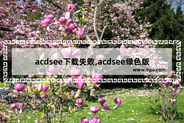 acdsee下载失败,acdsee绿色版免安装