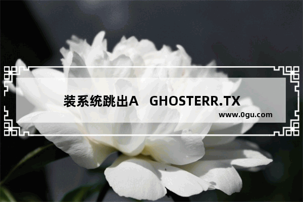 装系统跳出A   GHOSTERR.TXT,重装系统显示a   ghosterr