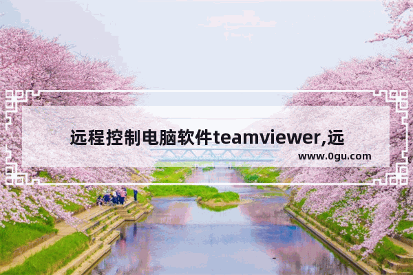 远程控制电脑软件teamviewer,远程软件teamviewer14