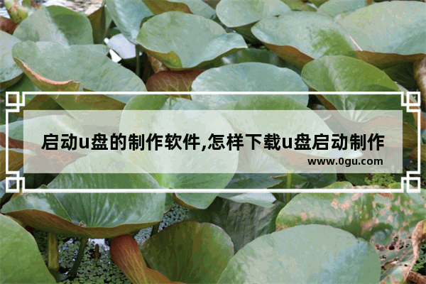 启动u盘的制作软件,怎样下载u盘启动制作工具