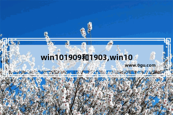 win101909和1903,win101909和1809