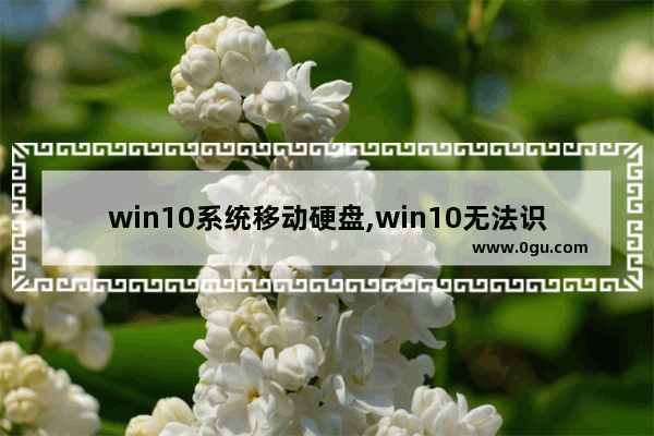win10系统移动硬盘,win10无法识别新加的机械硬盘怎么办