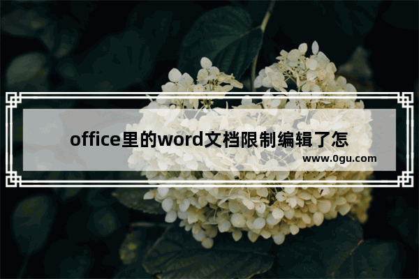 office里的word文档限制编辑了怎么取消,word2019限制编辑怎么解锁
