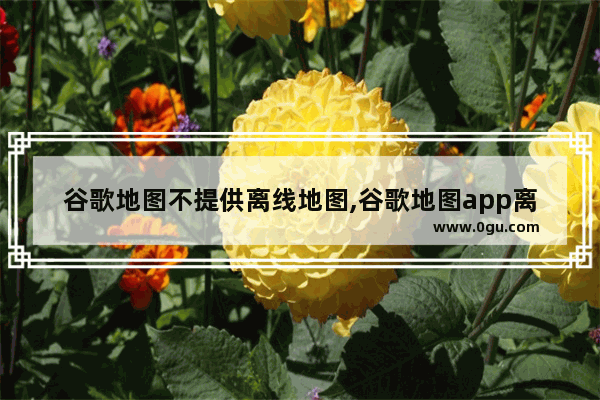 谷歌地图不提供离线地图,谷歌地图app离线地图怎么用